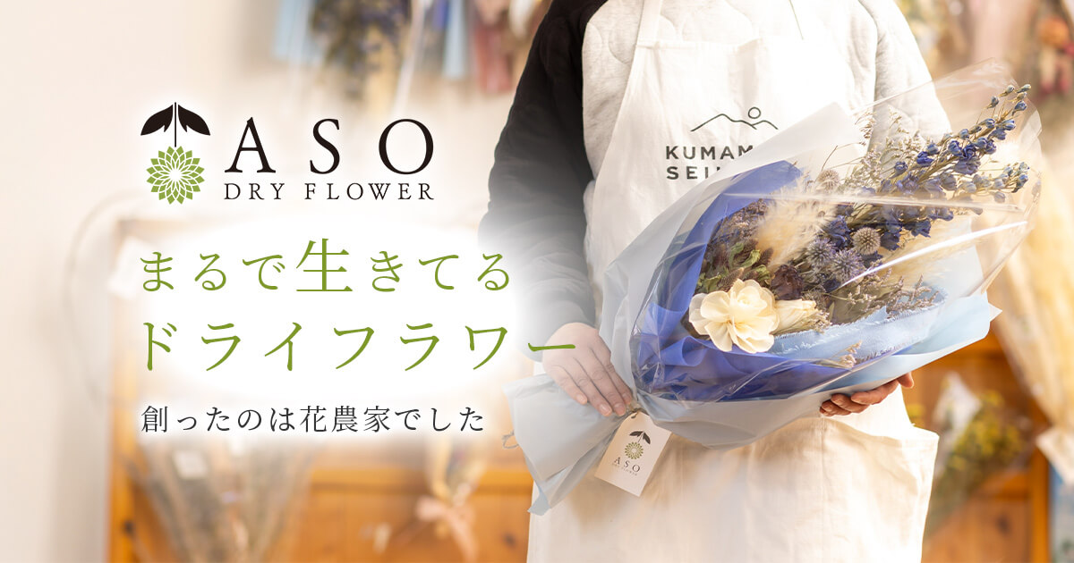 ASOドライフラワー | 阿蘇の花農家が創った色鮮やかなドライフラワー