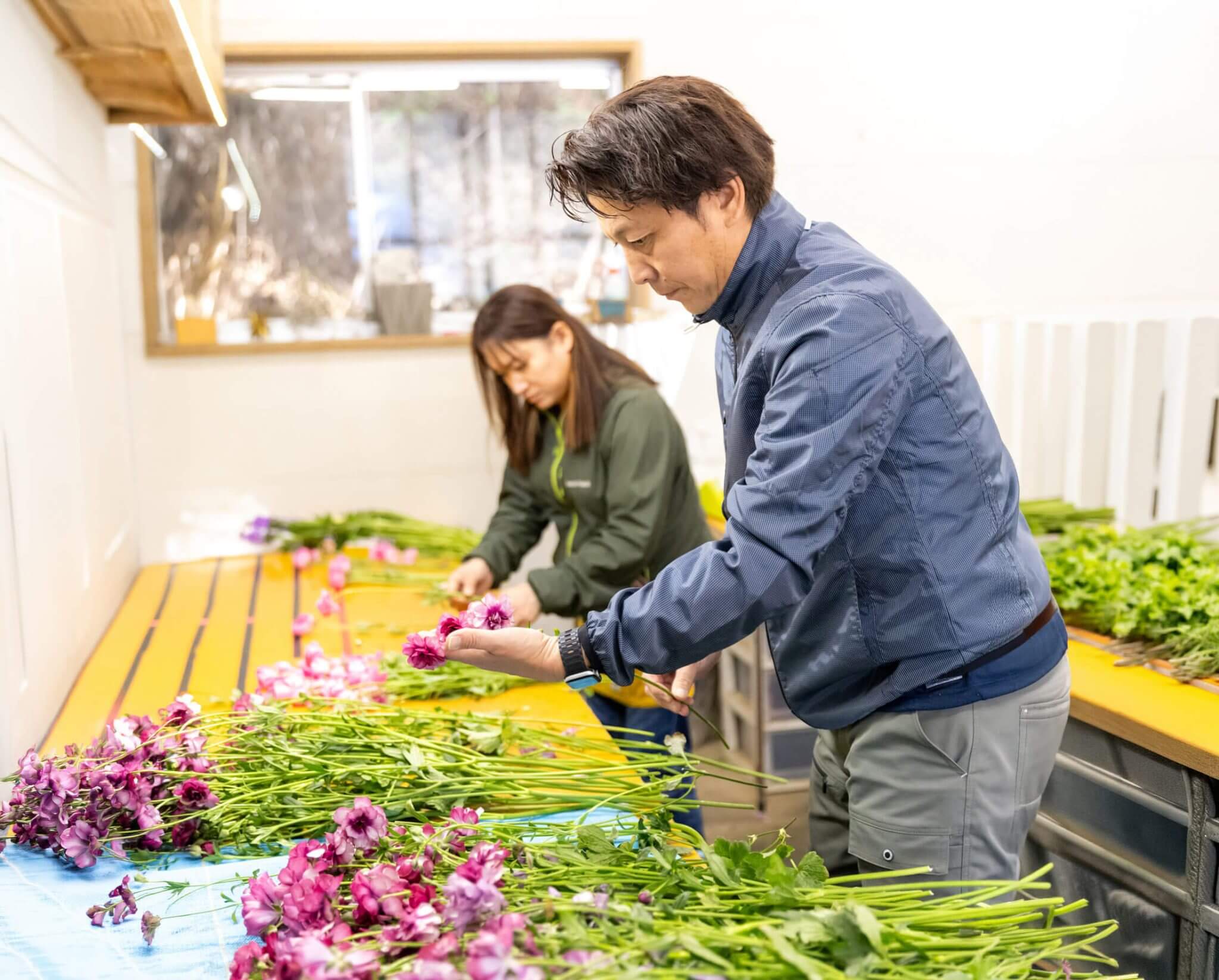 花農家や地域の課題から生まれた挑戦