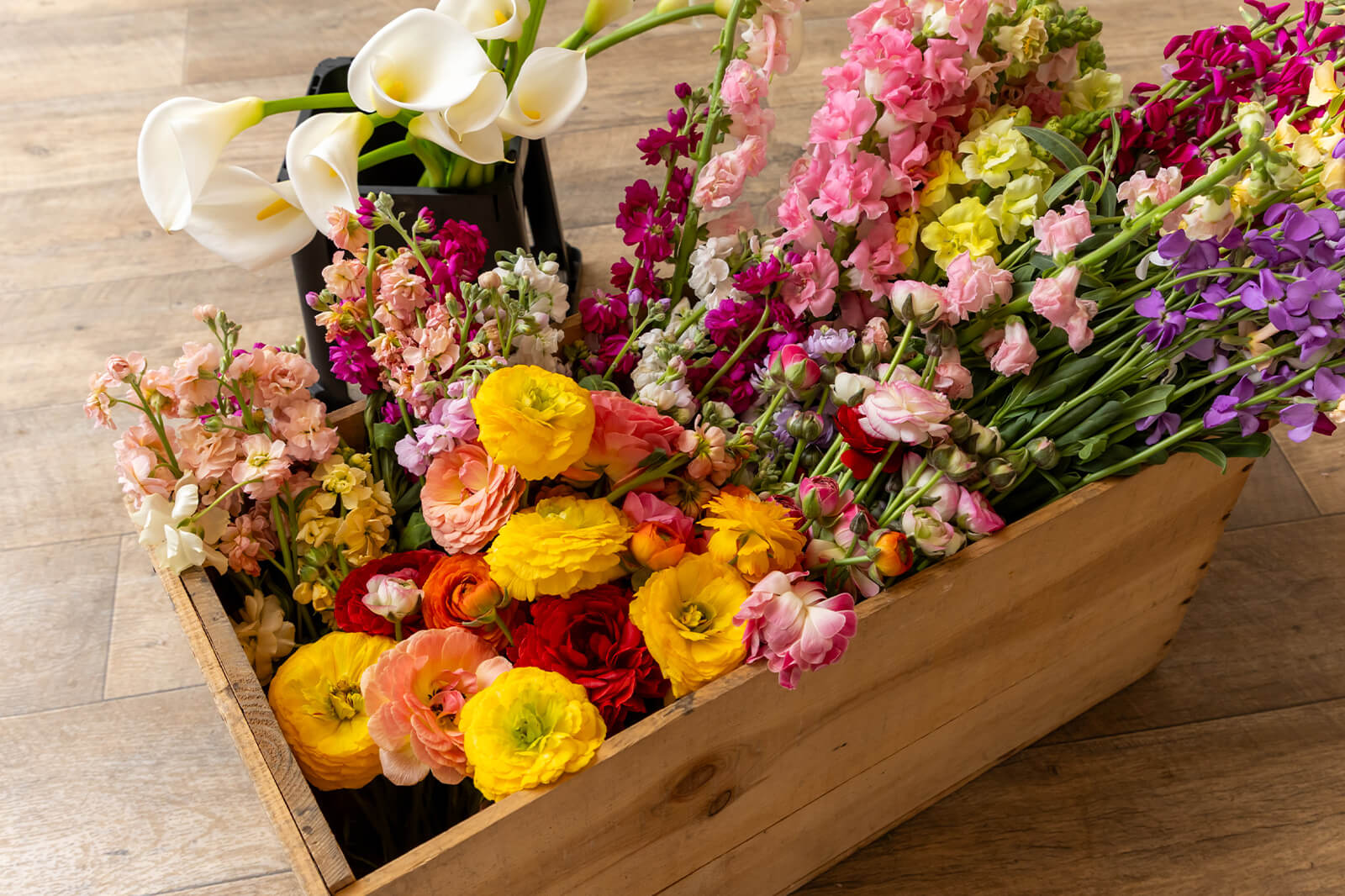 出荷できない花の受け取り