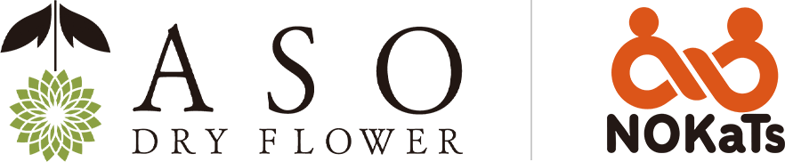 ASO DRY FLOWER / NOKaTs
