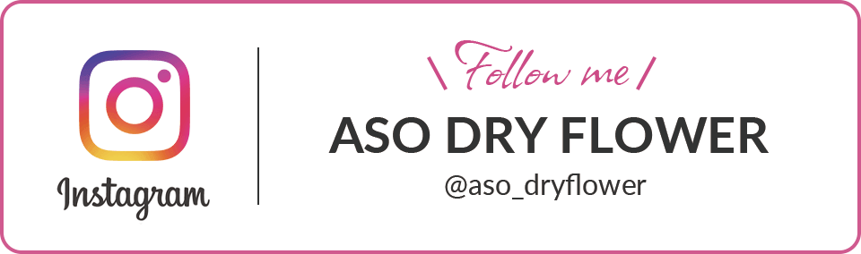 ASO DRY FLOWER Instagram