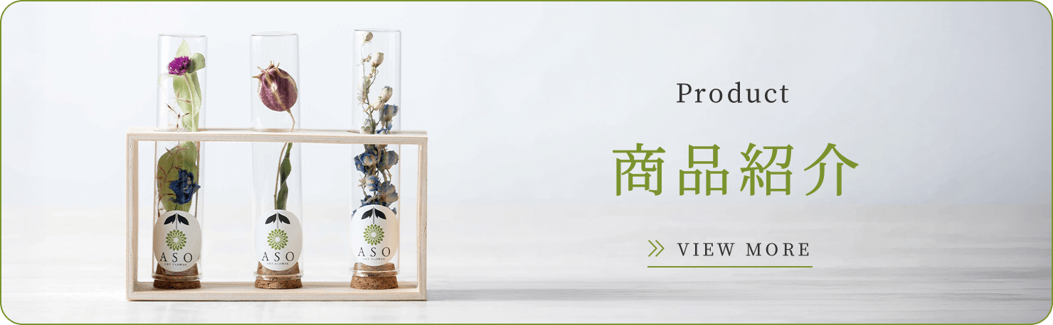 商品紹介