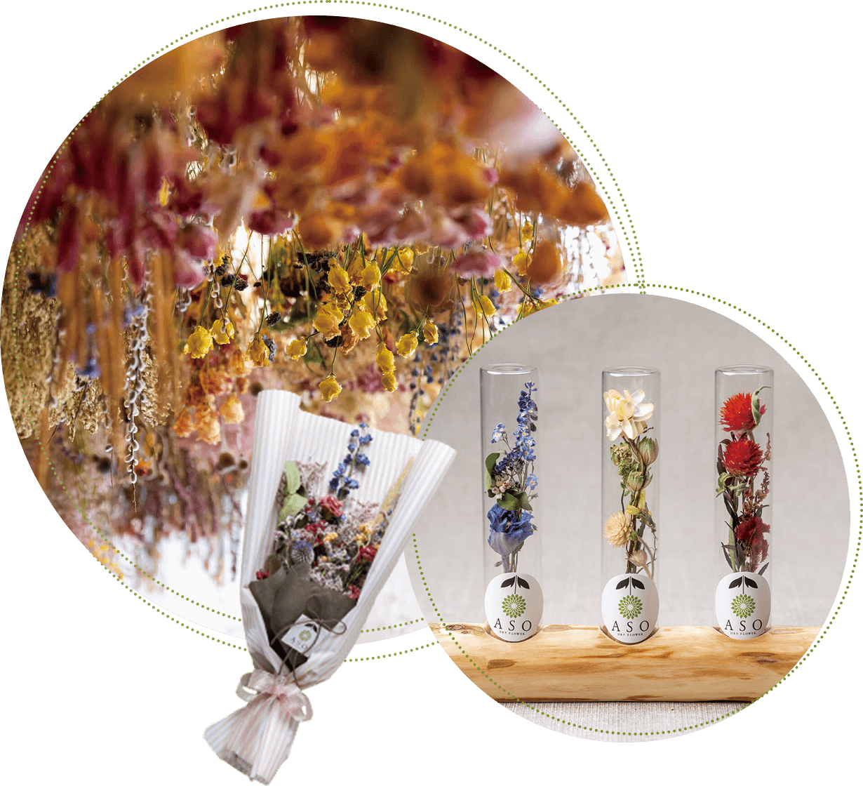 ASO DRY FLOWER