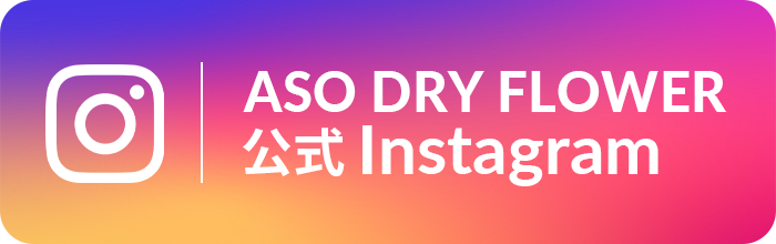 ASO DRY FLOWER Instagram