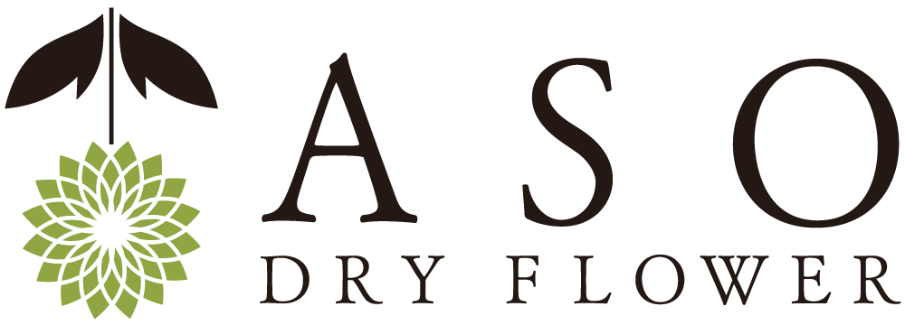 ASOドライフラワー