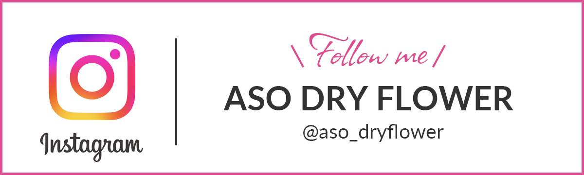 ASO DRY FLOWER Instagram